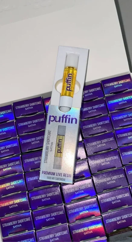 Puffin disposable